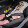 BeSafe Auto-Kindersitz ab Geburt bis 4 Jahre | drehbar mit Neugeborenen Einlage – Bild 15