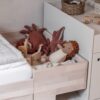 Mitwachsendes Bett SMART | Vom Baby bis zum Schulkind | ab Geburt bis 10 Jahre | Kindermöbel für kleine Kinderzimmer – Bild 7