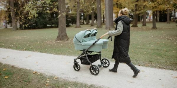 NATURKIND LARS Zwillingswagen | SET: 2 Babywannen + 2 Sportsitze + Zubehör – Bild 3