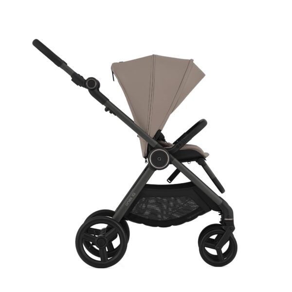 rambler rosen düngen Ramblerrose 'Perennial Domino'® kaufen main image 0