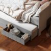 CAROLE Sparset Baby-/ Kinder-/ Jugendzimmer | Bett + Kommode + Schrank + Regal | 4-teilig | Grau – Bild 12