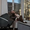 Noordi FJORDI V2 | 2 in 1 SET Kinderwagen mit Babywanne + Sportwagen + Wickeltasche – Bild 84