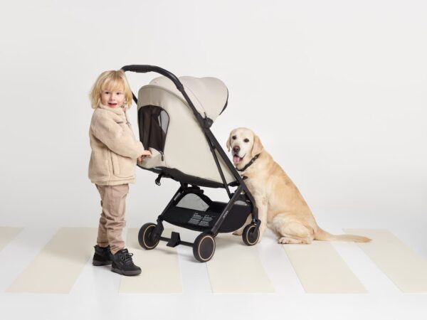 ANEX Air-X² Buggy | Ab der Geburt verwendbar – Bild 43